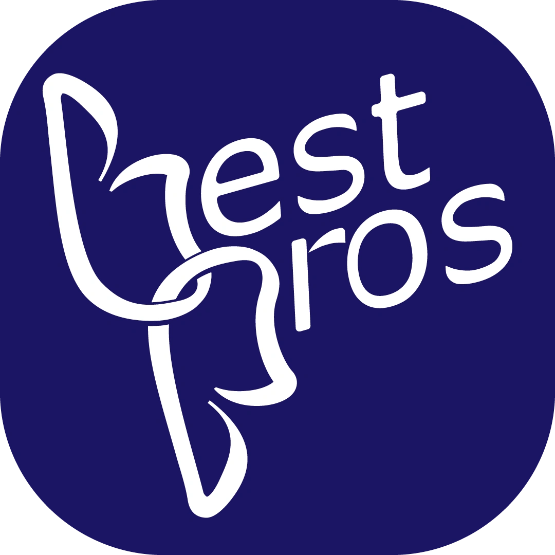 BestProsInTown logo